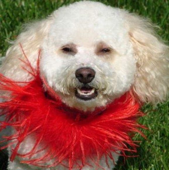 mlehudson